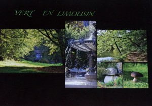 VERT EN LIMOUSIN